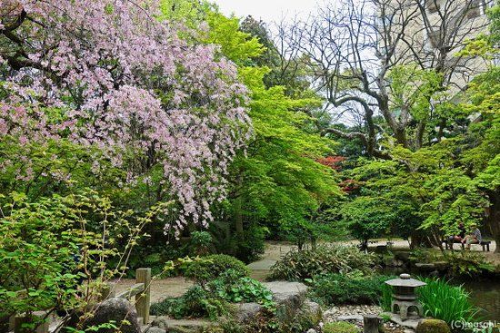 Jardins Rakusuien